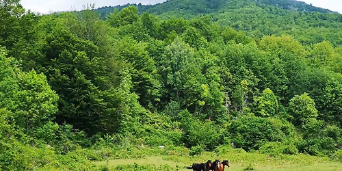 14\/12 \u03a0\u03b5\u03b6\u03bf\u03c0\u03bf\u03c1\u03af\u03b1 \u03c3\u03c4\u03bf \u038c\u03c1\u03bf\u03c2 \u039c\u03c0\u03ad\u03bb\u03b5\u03c2 - Discovery Trail