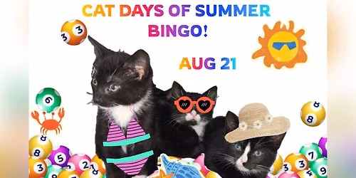 Cat Days of Summer BINGO!