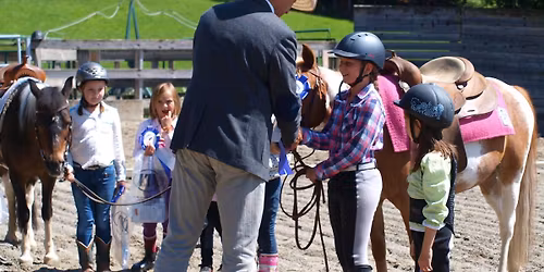 WRC u. WRC Bronze u. HufeisenPr\u00fcfung - Kumberg