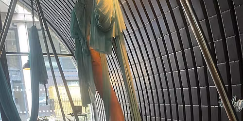 Aerial Yoga CPD Workshop