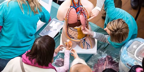 The Cambridge Festival BIG Family Weekend