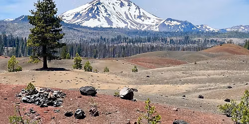 PACIFIC PIONEER | JUNE 2026 | Redwoods, Lassen Volcanic, Crater Lake, & Mt. Rainier National Parks!