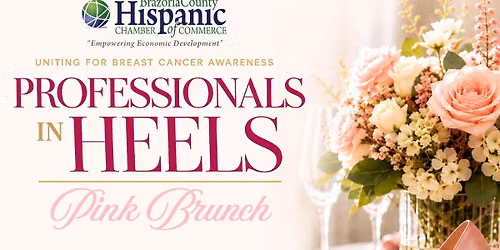 Professionals In Heels | Pink Brunch