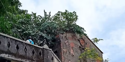 \u7530\u5bee\u6cb312\u7378\u9996\u6a4b.\u7d05\u6de1\u5c71\u7cfb. \u4f5b\u5149\u6d1e.\u8a31\u6893\u6851\u53e4\u539d