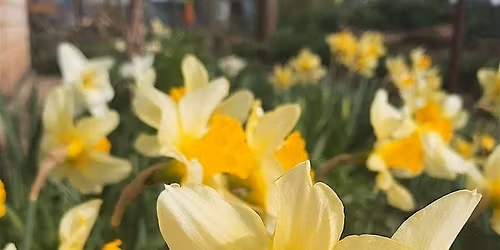 Bentall Centre Bulb Sale