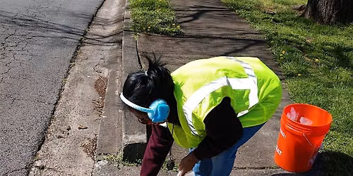 Storm Drain Marking