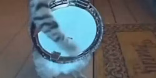 Red Hot Bluegrass at the Red Barn