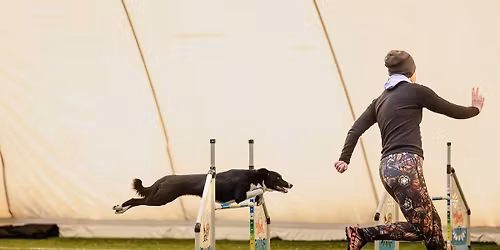 Trzech Kr\u00f3li z Magd\u0105 \u0141abieniec 