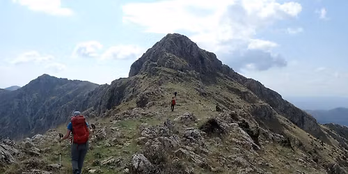 \u039a\u03c4\u03b5\u03bd\u03b9\u03ac\u03c2 1635\u03bc. \u039d\u03b5\u03c3\u03c4\u03ac\u03bd\u03b7 - \u0392\u03c1\u03ac\u03c7\u03bf\u03c2 \u0393\u03bf\u03c5\u03bb\u03ac - \u039a\u03c4\u03b5\u03bd\u03b9\u03ac\u03c2