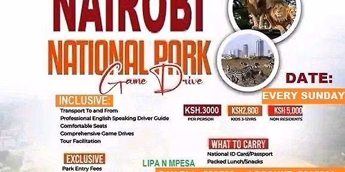 Weekend Game Drives and Day Trips at National Parks