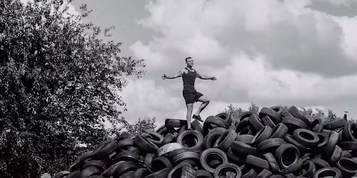 Sarius in Wroc\u0142aw