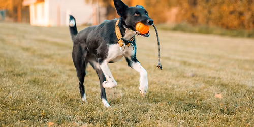 Seminarium z Tomkiem Jakubowskim w Krakowie 2026
