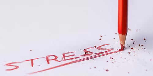 [Formation] Vers des relations de travail plus sereines