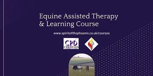 Equine Assisted Therapy & Learning Course