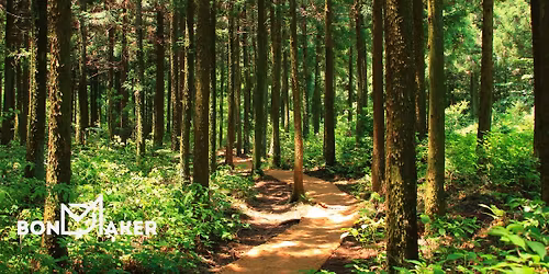 \ud83c\udf3f Forest Bathing (Phone-Free): A Mindfulness Walk for the Soul Eustis