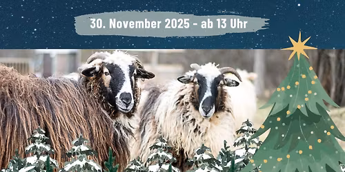 Winterzauber auf dem Biolebenshof Schlitzerland 