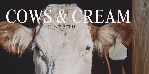 Cows & Cream