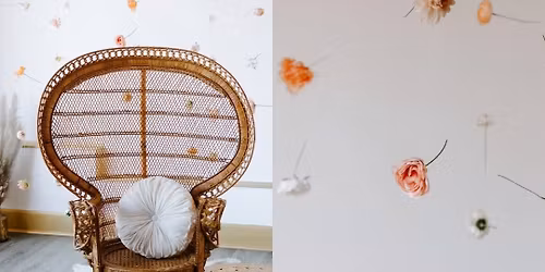 Spring Minis - Hamilton Ohio