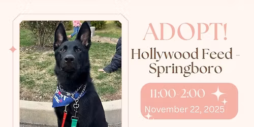 Adoption Event - HWF - Springboro