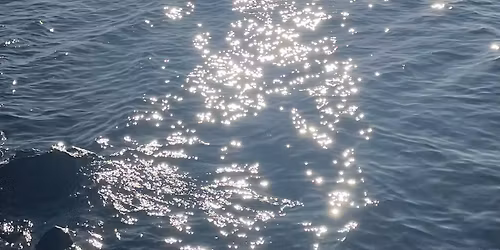 Las Dos Aguas- Dansworkshop