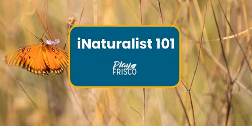 iNaturalist 101