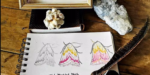 Naturalist's Sip & Draw at The Haunted Bookshop