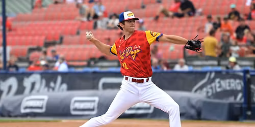 Parking Portland Sea Dogs at Reading Fightin Phils