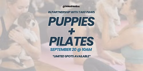 Puppies & Pilates at 144 Athletics