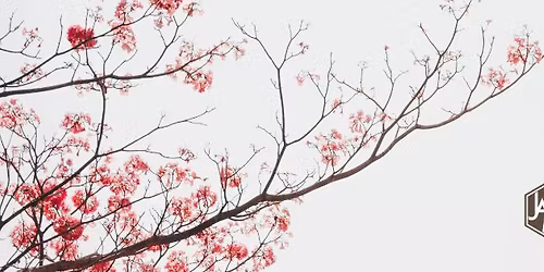 Discover Japanese Acupuncture 