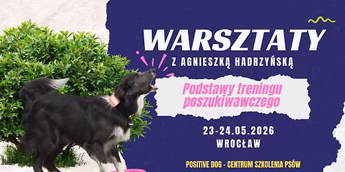 Podstawy treningu poszukiwawczego - praca g\u00f3rnym wiatrem z Agnieszk\u0105 Hadrzy\u0144sk\u0105