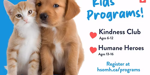 Spring Kindness Club (senior 2) at HSOMH