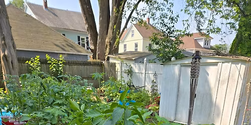Organic Plant Sale!