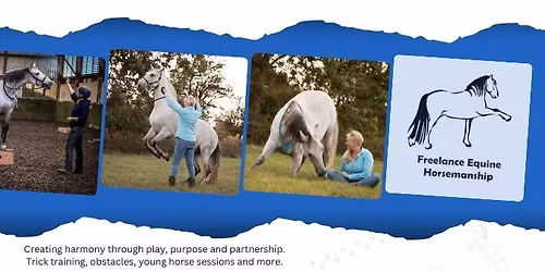 Woodview Farm Stud - Pick Your Own Private Session, or Core and More Gym sessions.