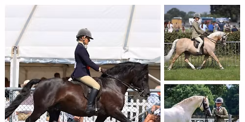 Sam Roberts Showing Clinic