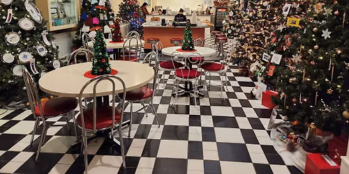 The 13th Annual Indoor Christmas Tree Walk