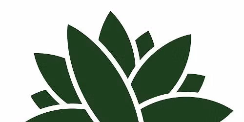 Introduction to Precision Reflexology - Part 1