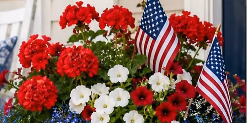 Fourth of July Planter Class 