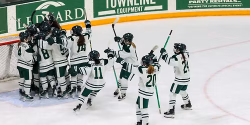 Parking Clarkson Golden Knights at Harvard Crimson Womens Hockey