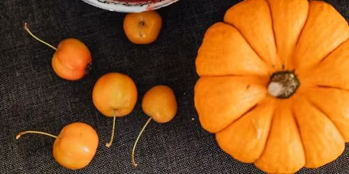 Thanksgiving at the Forest