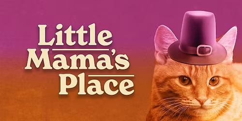 Little Mama's Place (Stand Up Comedy)