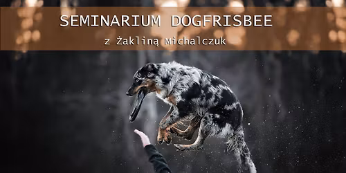 1 dniowe seminarium dogfrisbee z \u017baklin\u0105 Michalczuk - 22.06.2026