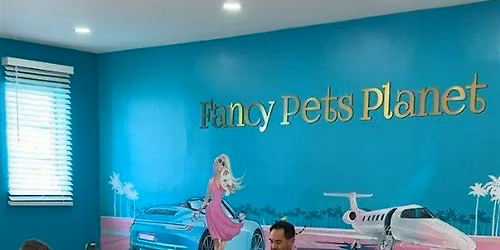 Puppy Yoga Miami | Yoga with Toy Poodles | Weekend Things to Do