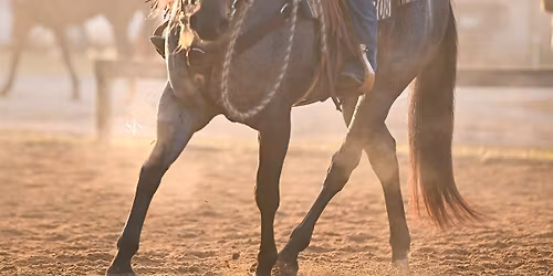 \ud83c\udf35 RIDE THE HORSE YOU HAVE \ud83c\udf35- clinic