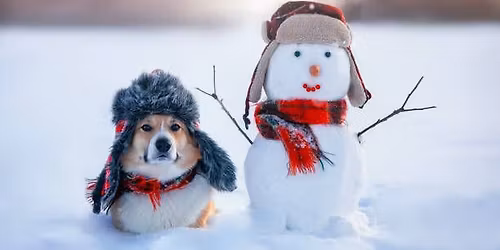 Cyber Scent Work Traditional Holiday Trials (Beginner and Novice Offered)