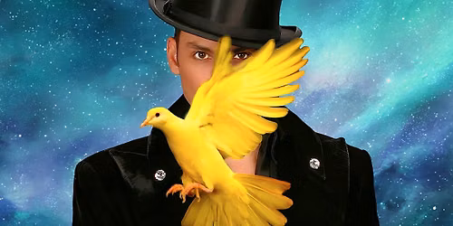 Allstars of Magic