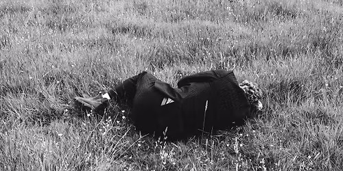 THE SICK MAN OF EUROPE (London - UK) Post-Punk \/\/ brandherd at Altes Volksbad