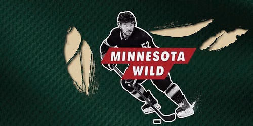 Minnesota Wild at Anaheim Ducks at Honda Center