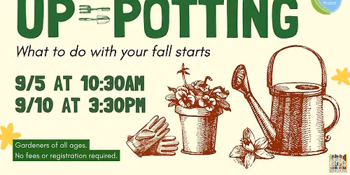 Up-Potting \u2013 What to do with your fall starts