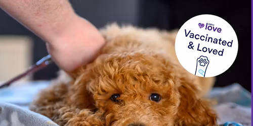 FREE Pet Vaccine Clinic