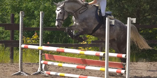 Seuratason estekilpailut